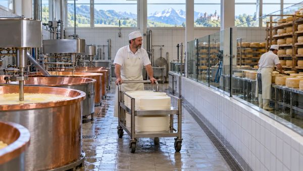Optimiser les flux internes tout en distinguant deux zones de production
